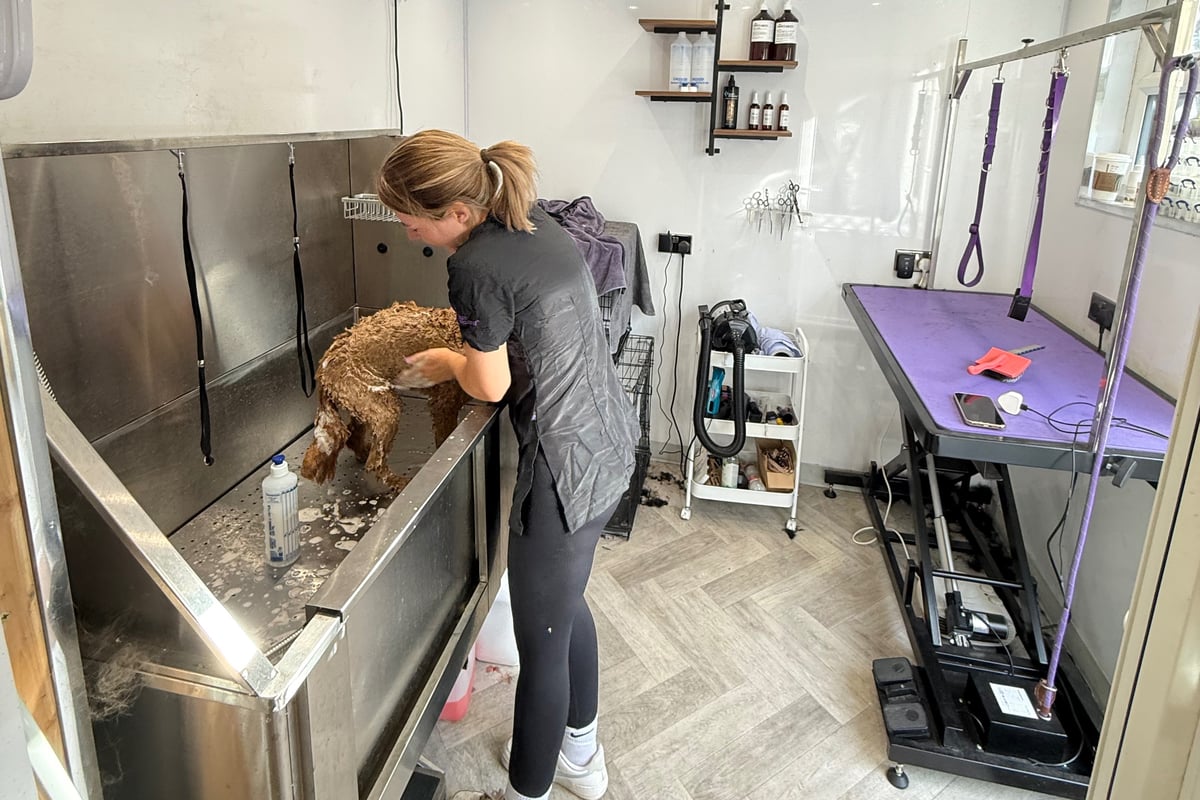 Watermead dog groomer runs marathon 2027 for Alzheimer’s research UK
