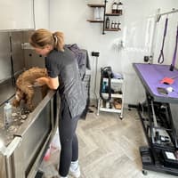Watermead dog groomer runs marathon 2027 for Alzheimer’s research UK