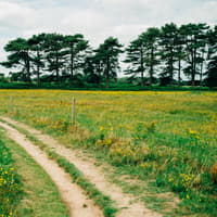 Waddesdon Manor country walk named one of the most beautiful in the UK