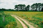 Buckinghamshire country walk named one of the UK’s most beautiful