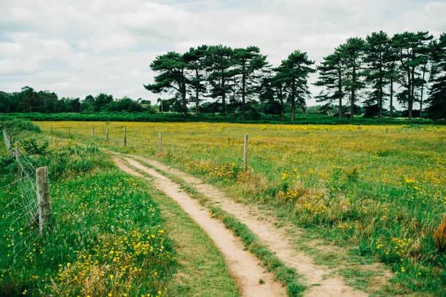 Buckinghamshire country walk named one of the UK’s most beautiful