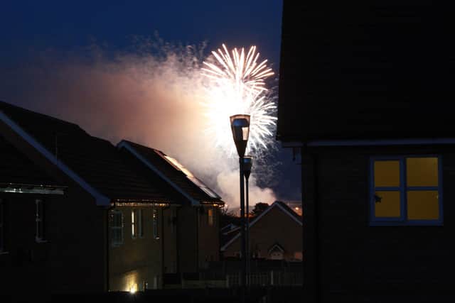 Research into firework-sensitive dogs has found measurable differences in autonomic nervous system activity after exposure to recorded firework sounds