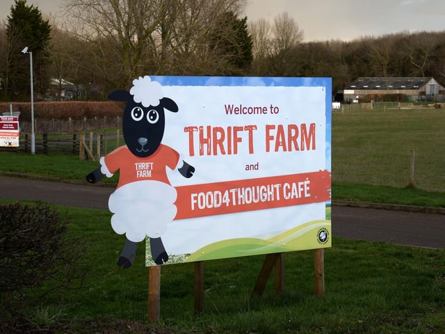 Next weekend will be the last chance for families to visit the animals at Thrift Farm - before they take their usual winter break.