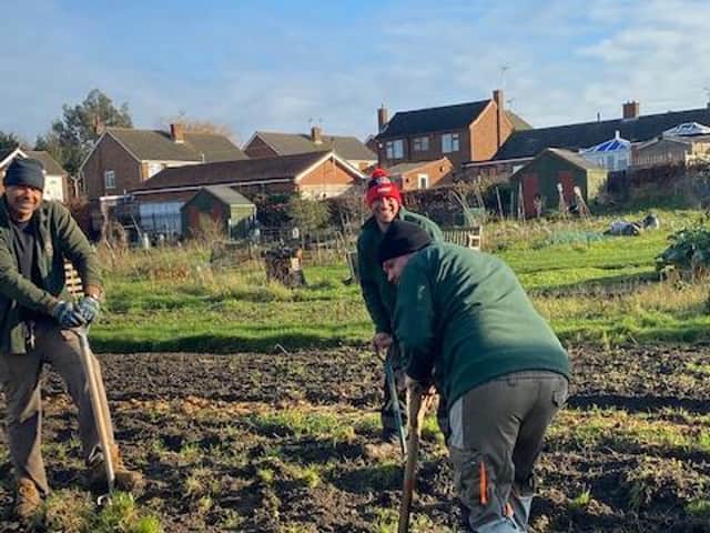 Preparing the allotment site to grow vegetables and fruit