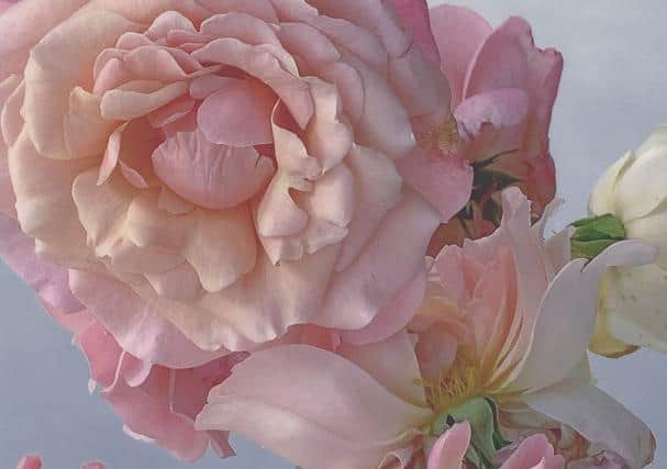 From Nick Knight's series 'Roses from my Garden'