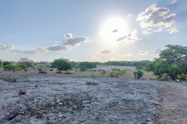 Destroyed farmland in Mozambique