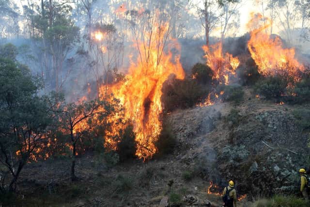 Fires near Omeo, Victoria, in Australia