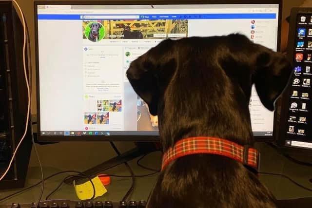 Baggy checking her Facebook page