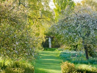 The Orchard in April at Sissinghurst Castle Garden, Kent