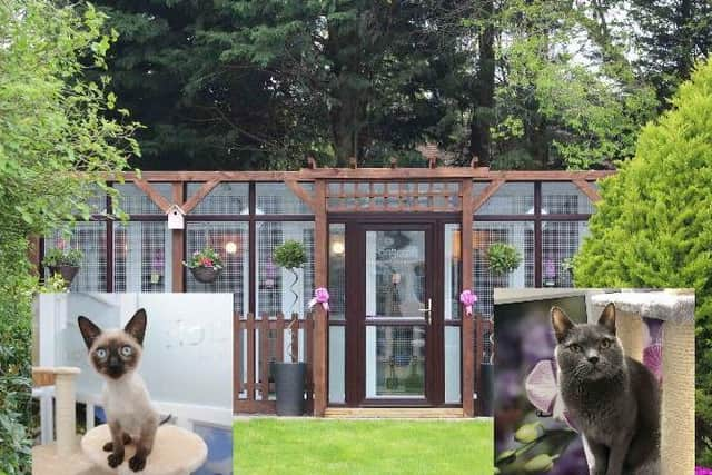 Longcroft Luxury Cat Hotel in Tring