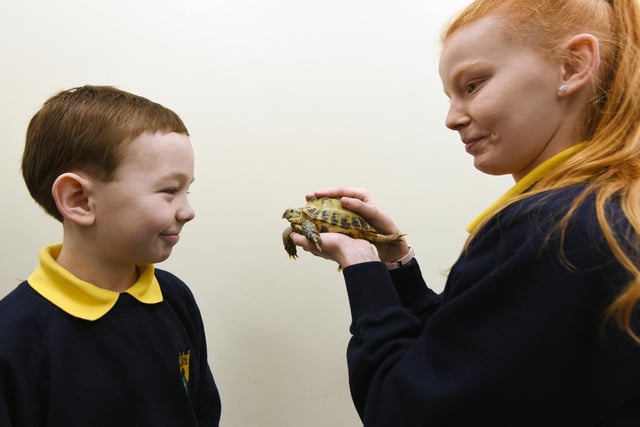 Pupils with the school tortoise Philip
