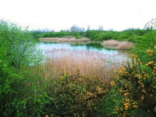 Calvert Jubilee