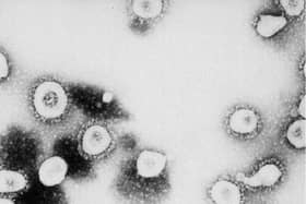 Coronavirus stock image