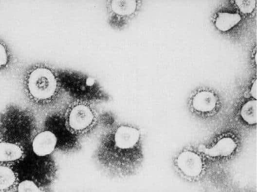Coronavirus stock image