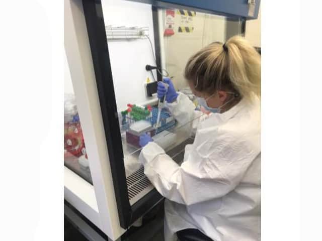 Processing Covid-19 tests in Microbiology at Stoke Mandeville Hospital