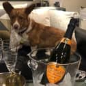 Dilbert living the good life