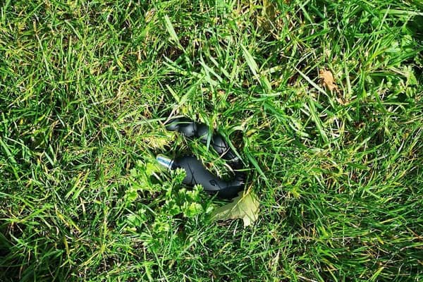 An unusual type of littering