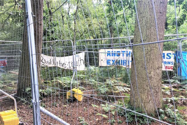 The woodland protest camp