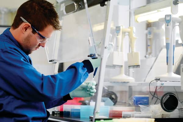 The World Health Organization is clear that the likelihood of coronavirus being transmitted via sewerage systems is extremely low or negligible.