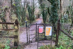 Safety plea to pedestrians after shocking near miss near Princes Risborough