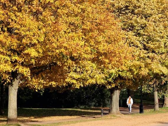 Revealed: Aylesbury Vale parks and green spaces missing out on lottery cash