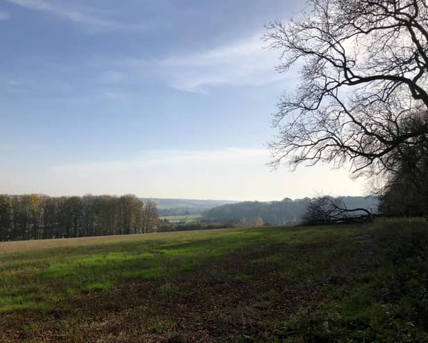 Editor Hayley is grateful to have access to nature, as many of us do in the Aylesbury Vale