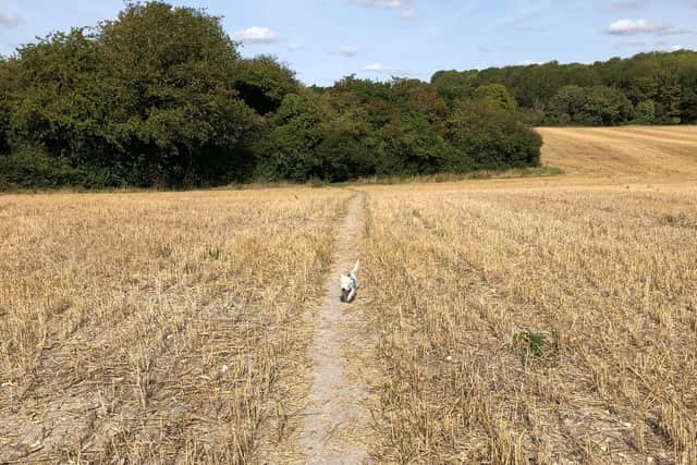 Editor Hayley is grateful to have access to nature, as many of us do in the Aylesbury Vale
