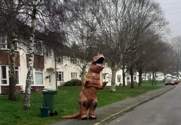 The dinosaur in Tedder Road this afternoon