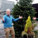 Geoffrey Furber, Founder, Ripple Africa together with Peter
Brown, one of the partners of Buckingham Garden Centre, celebrate this month’s
successful fundraising efforts under the Christmas tree.