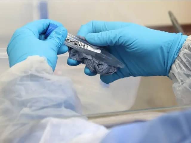 227 Covid Deaths occurred outside hospital