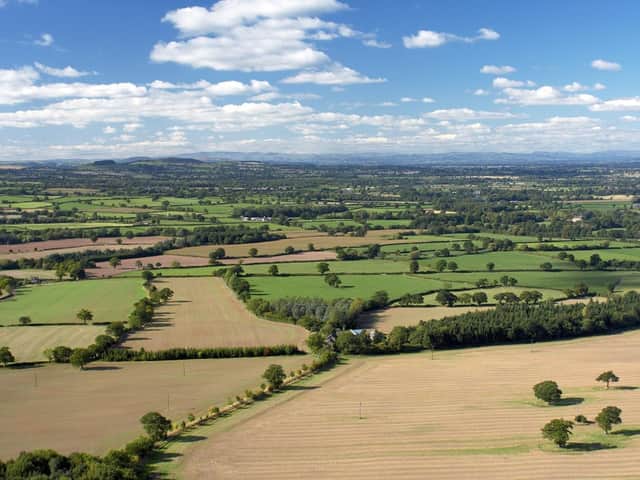 With outdoor exercise in the spotlight, CLA South East urges the public to use our landscapes responsibly and respect the countryside