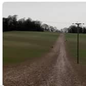 Damage to Buckmooreend Farm in Wendover from Pedestrians