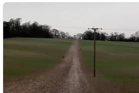 Damage to Buckmooreend Farm in Wendover from Pedestrians