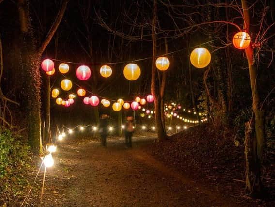 When You Wish Upon A Star Trail Christmas at Waddesdon