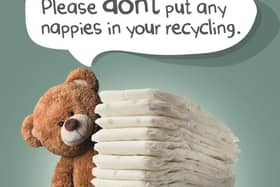 Listen to Ted and throw away your children's dirty nappies