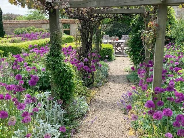 Lizzie and David Banister's garden