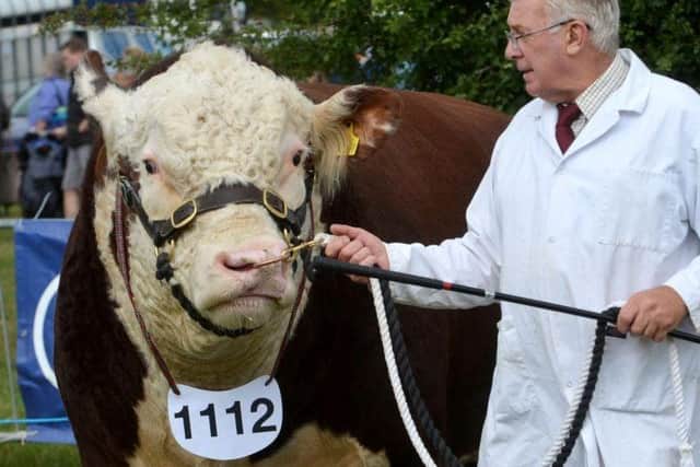 Bucks County Show