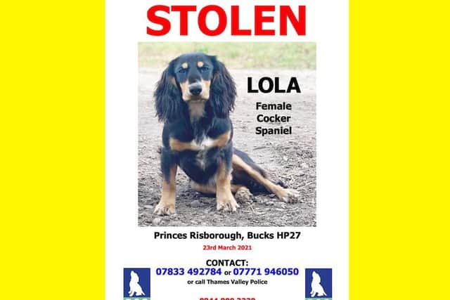 Please get in touch on these numbers if you have seen Lola!