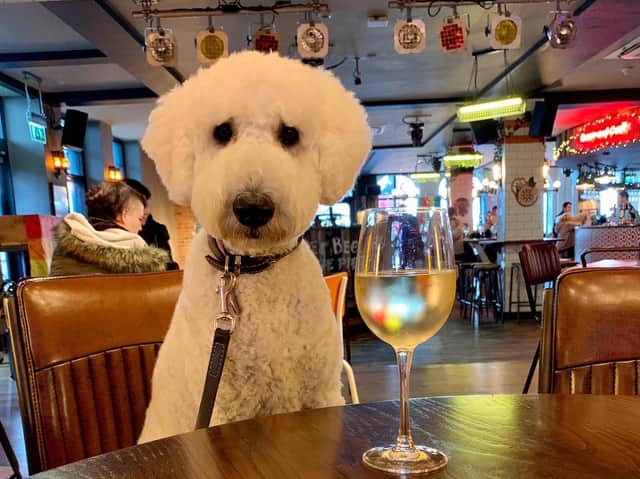 Nora having a well earned drink