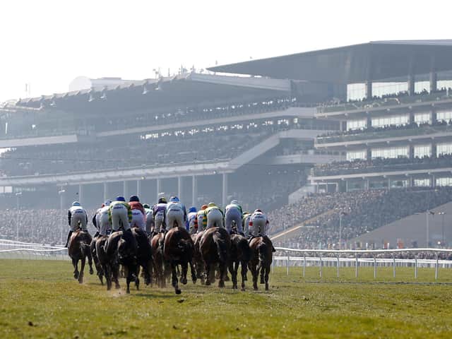 All systems go for Cheltenham next week