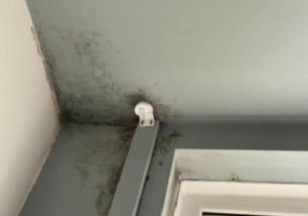 Mould at the property in Cheddington