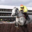 Politologue and Harry Skelton jump the last on their way to winning the Betway Queen Mother Champion Chase