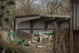 The main stand is now filled with foliage and rubble