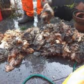 wet wipes and kitchen roll cause 'fatbergs' and other blockages