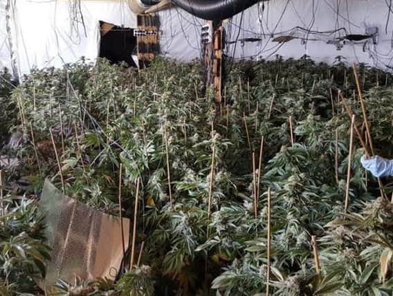 Thames Valley Police discovered a cannabis farm in Winslow worth more than 650,000