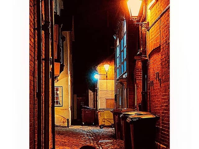 A fox in Aylesbury's Old Town
