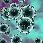 Coronavirus (covid-19)