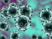 Coronavirus (Covid-19)