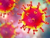 Coronavirus (Covid-19)