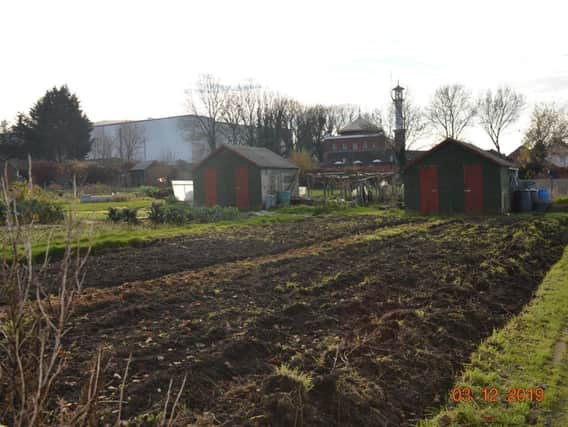 Stock image of community allotments